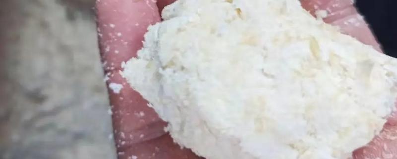 怎么用豆腐渣喂羊，拌入日粮中饲喂才能满足营养需求