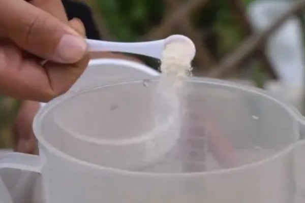 生根粉的作用，可促进新根快速生长