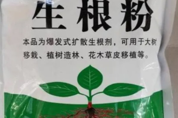 生根粉的作用，可促进新根快速生长