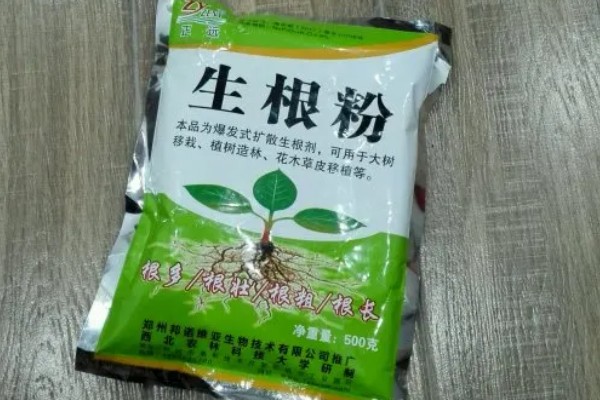 生根粉的作用，可促进新根快速生长