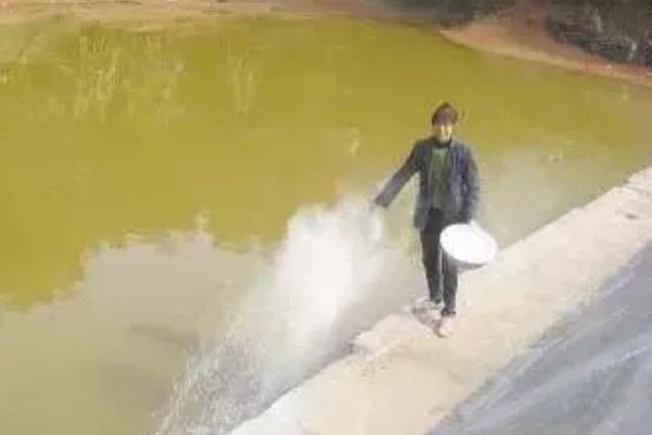对虾偷死如何处理，可用粒粒氧来处理