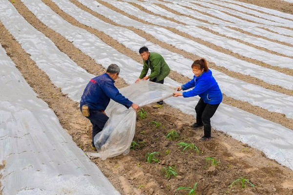 农用地膜的收藏方法，可采用以下5种方法