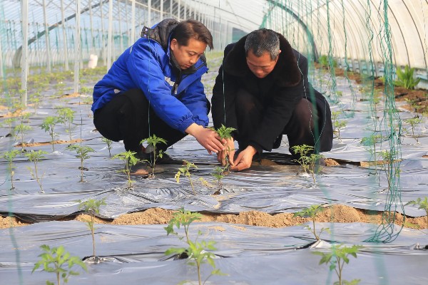 农用地膜的收藏方法，可采用以下5种方法