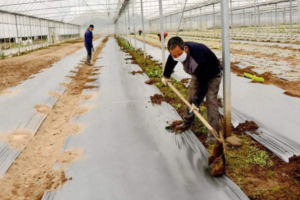 农用地膜的收藏方法，可采用以下5种方法