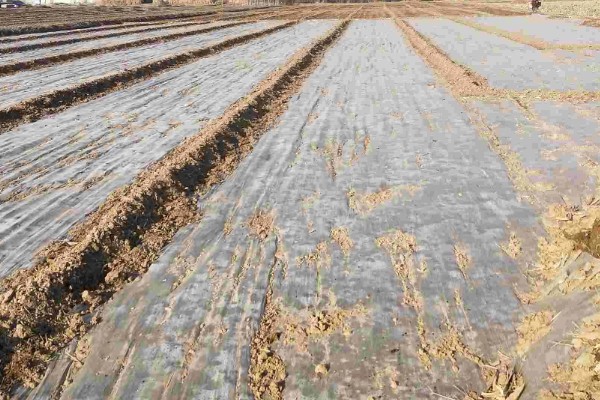 农用地膜的收藏方法，可采用以下5种方法