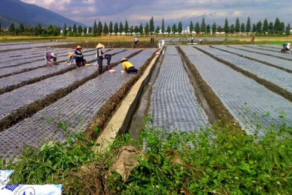 农用地膜的收藏方法，可采用以下5种方法