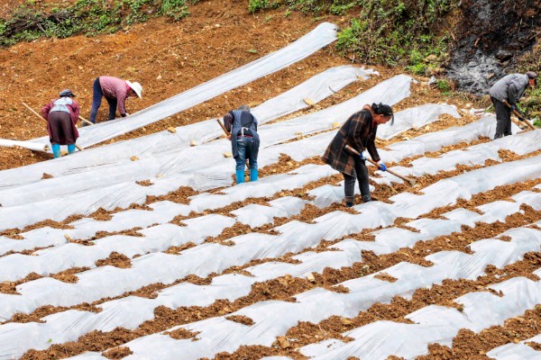 农用地膜的收藏方法，可采用以下5种方法