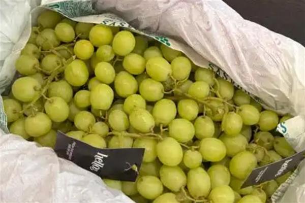 怎么提子防止氧化，可放在封闭的容器中贮存