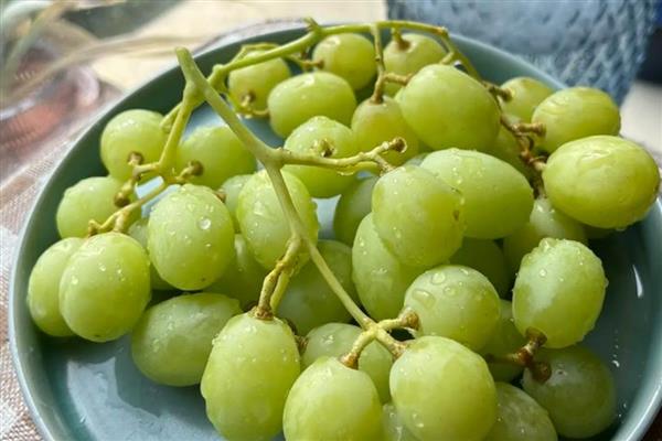 怎么提子防止氧化，可放在封闭的容器中贮存