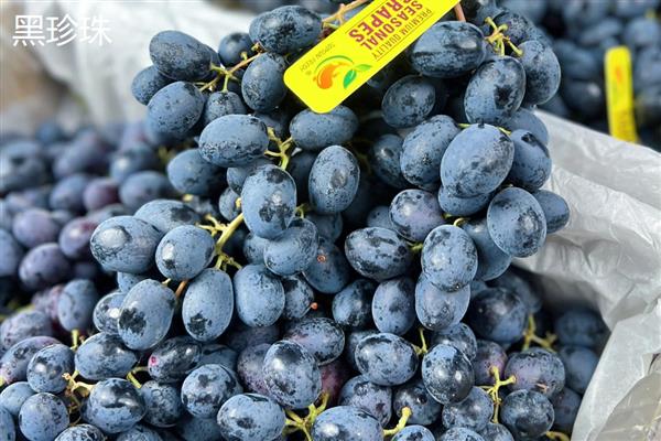 怎么提子防止氧化，可放在封闭的容器中贮存