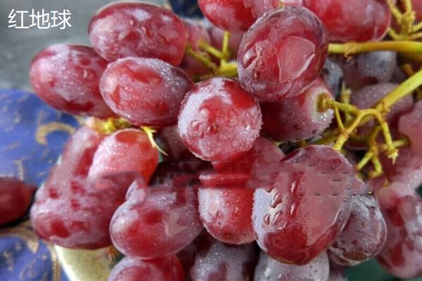 怎么提子防止氧化，可放在封闭的容器中贮存