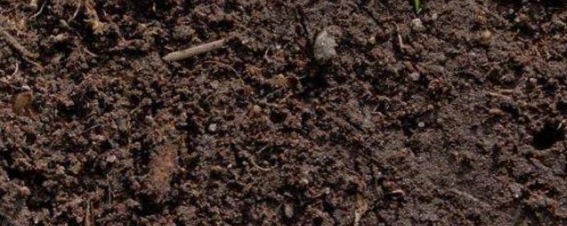 土壤毛管孔隙是什么，指的是具有毛管作用的孔隙