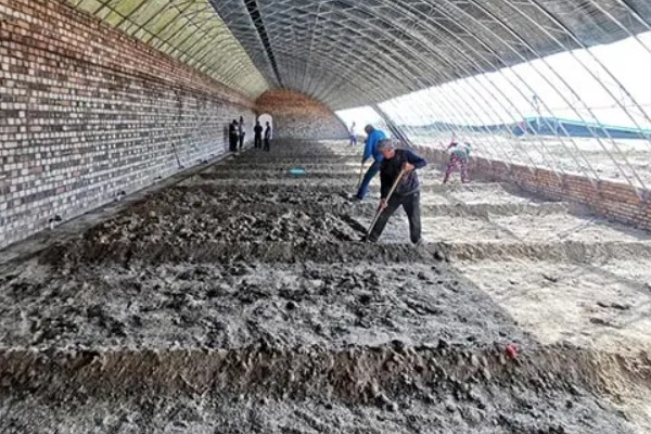 温室蔬菜敞穴肥料如何施用，肥料以复合肥为主
