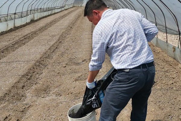温室蔬菜敞穴肥料如何施用，肥料以复合肥为主