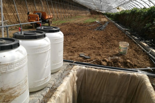 温室蔬菜敞穴肥料如何施用，肥料以复合肥为主