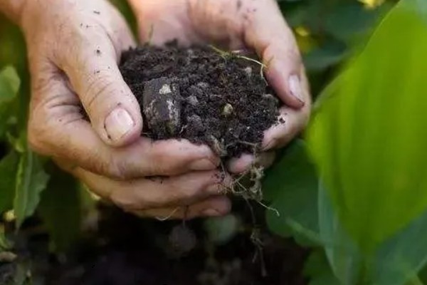 微生物肥料的概念，是以微生物生命活动导致农作物得到肥料效应