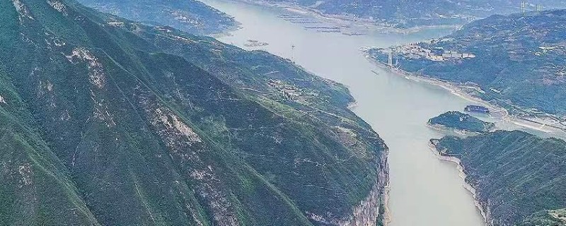 长江里有什么鱼，其中淡水鱼有324种