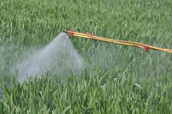 植物生长调节剂有哪些,包括生长促进剂、生长抑制剂等