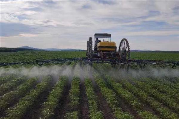 植物生长调节剂有哪些,包括生长促进剂、生长抑制剂等