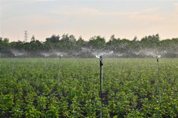 植物生长调节剂有哪些,包括生长促进剂、生长抑制剂等
