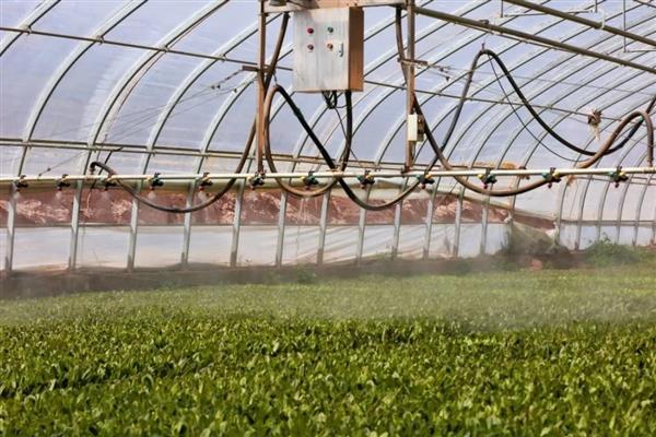 植物生长调节剂有哪些,包括生长促进剂、生长抑制剂等