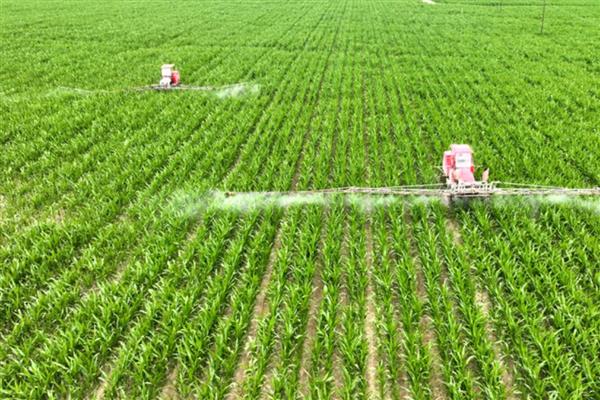 植物生长调节剂有哪些,包括生长促进剂、生长抑制剂等