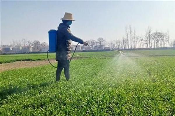 植物生长调节剂有哪些,包括生长促进剂、生长抑制剂等