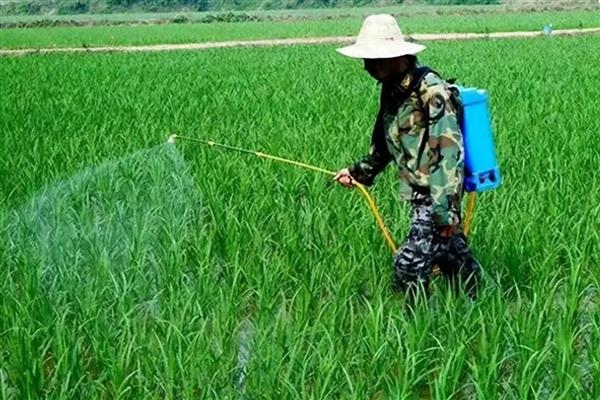 植物生长调节剂有哪些,包括生长促进剂、生长抑制剂等