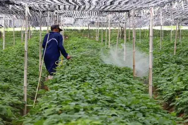 高效氯氟氰菊酯对蜗牛有没有效,对蜗牛没有效果