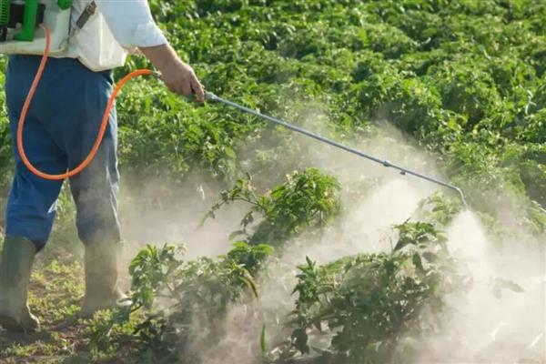 高效氯氟氰菊酯对蜗牛有没有效,对蜗牛没有效果