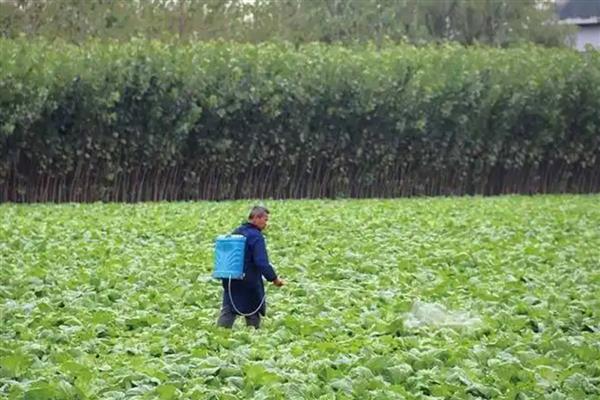 高效氯氟氰菊酯对蜗牛有没有效,对蜗牛没有效果