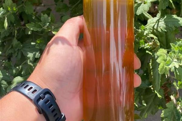 诱蜂水的配方，常见以下2种配方