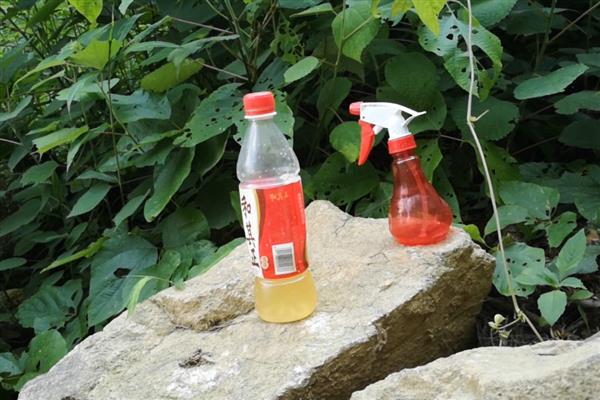 诱蜂水的配方，常见以下2种配方