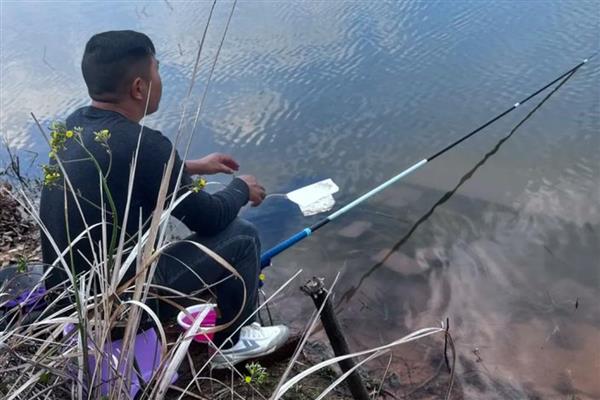 野钓青鱼什么天气最好，需要在15-30℃之间
