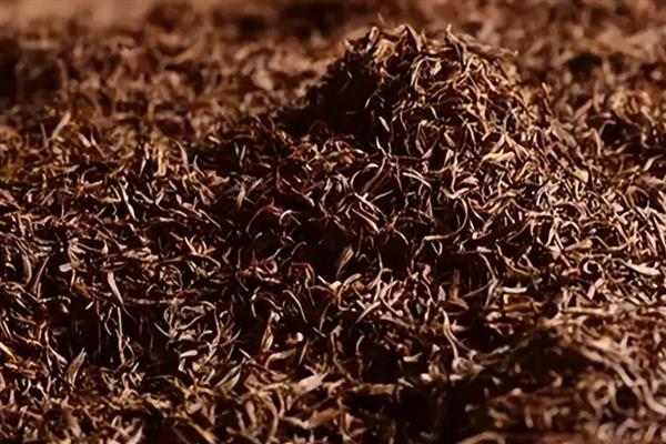 茶是怎么发酵而来，要经过萎凋、揉切、发酵等工序