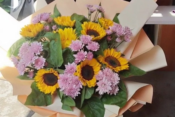 小雏菊的花语是什么，不同颜色的花语不同