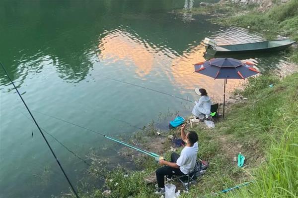 饵料怎么加拉丝粉，根据水情、鱼情来决定