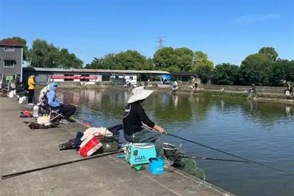 饵料怎么加拉丝粉，根据水情、鱼情来决定