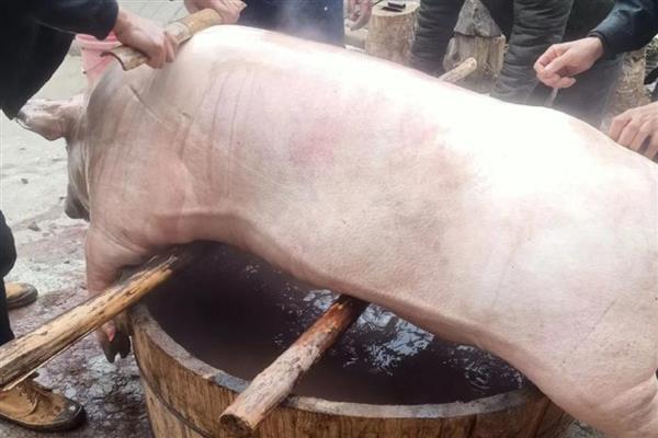 小雪节气的风俗习惯，可以腌腊肉、咸菜等