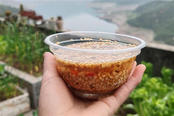 辣椒种子的催芽方法，用湿毛巾包裹放入塑料袋中催芽