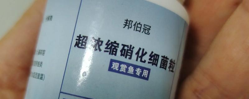 硝化菌属于哪一类，属于自养型细菌