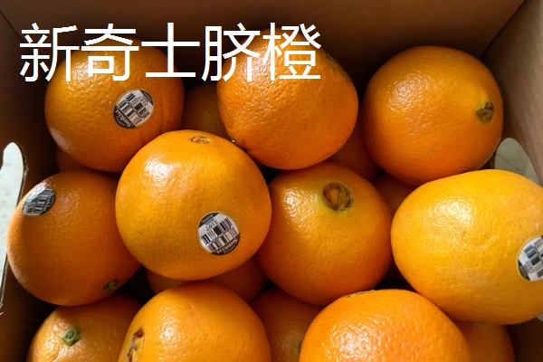 橙子的产地，赣南、秭归的脐橙都比较出名