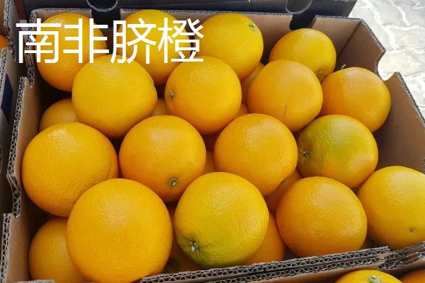 橙子的产地，赣南、秭归的脐橙都比较出名