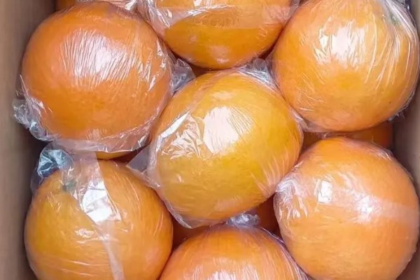 橙子的产地，赣南、秭归的脐橙都比较出名