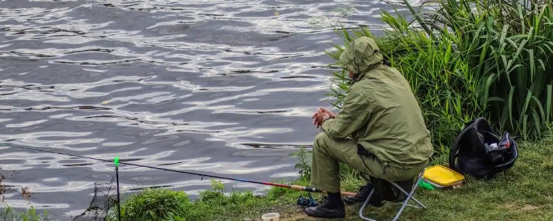 什么天气钓鲤鱼好钓，15到30℃钓为佳