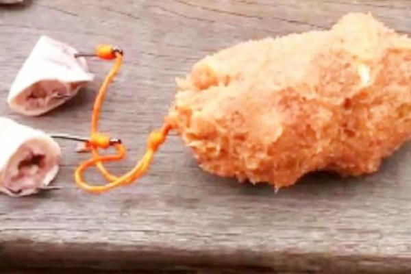 甲鱼钩怎么挂饵，饵料要处理成大小适中的小块