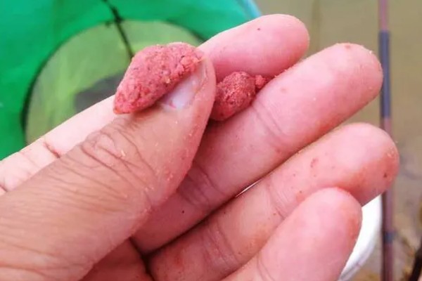 甲鱼钩怎么挂饵，饵料要处理成大小适中的小块