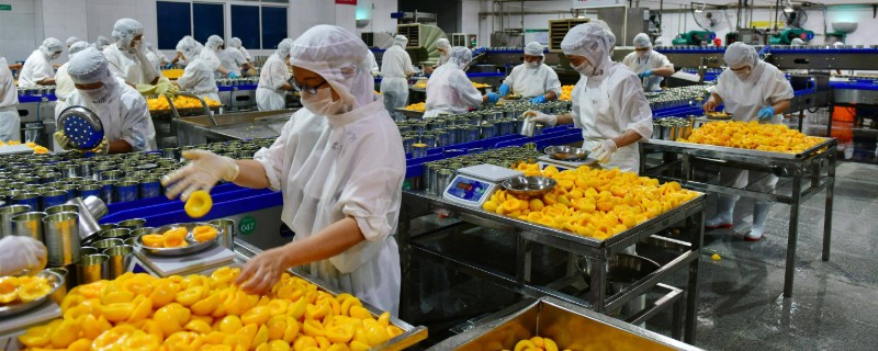 农副产品加工厂推荐，可将水果加工成罐头、果汁、果脯等