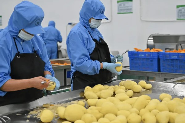 农副产品加工厂推荐，可将水果加工成罐头、果汁、果脯等