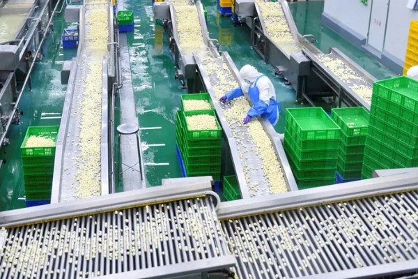 农副产品加工厂推荐，可将水果加工成罐头、果汁、果脯等